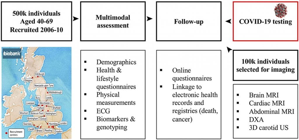 COVID 19 And UK Biobank Challenges Limitations And Future   UKbiobank 1024x480 1 